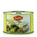 Santo dolma