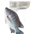 Sedir marsh fisk 300-500g