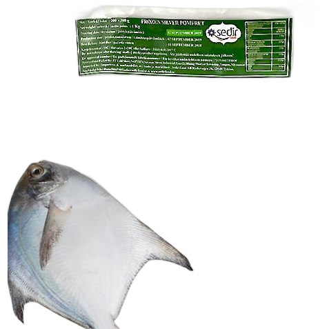 marsh zubaidi (S) kg