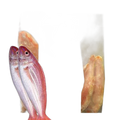 Fisk Redmullet 1kg