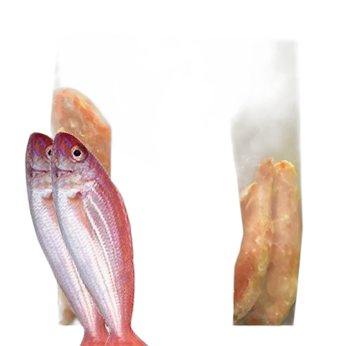 Fisk Redmullet 1kg